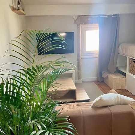 Cosy 索恩河畔自由城